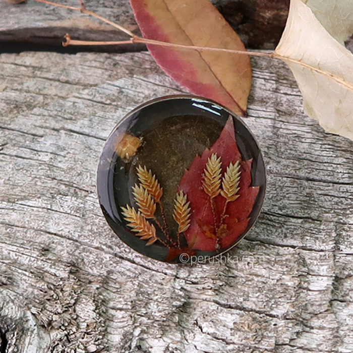 Sunny autumn