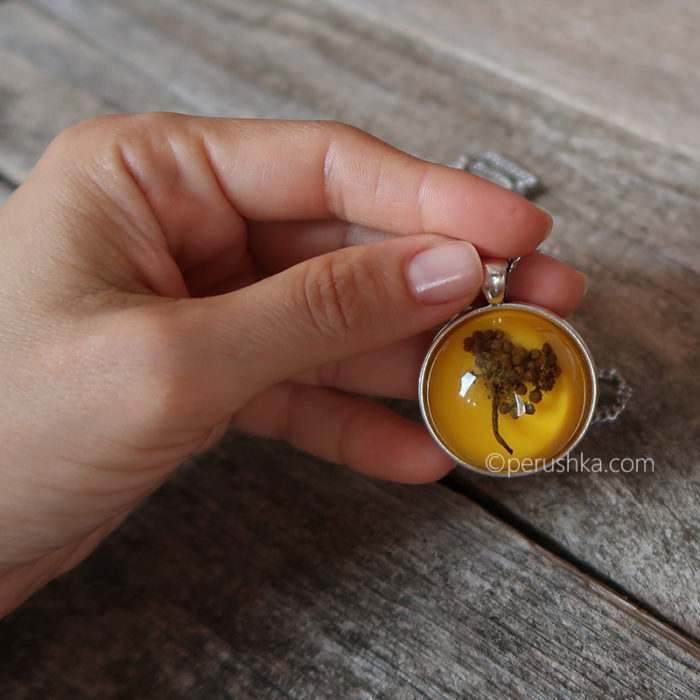 Yellow - Image 3