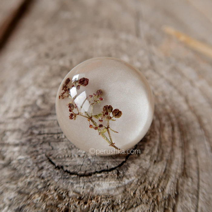 Winter tree ring