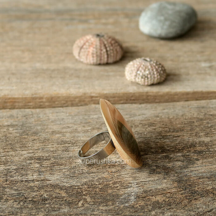 Feather fish - Image 4